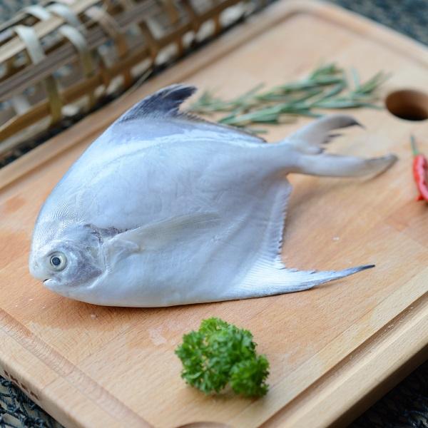 White Pomfret Fish